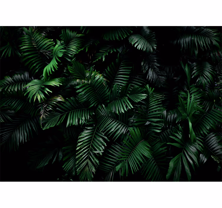 Fotomural moderno Plantas tropicales - TenVinilo