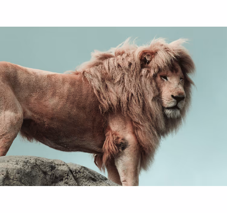 Mural de leones pose de león majestuoso - TenVinilo