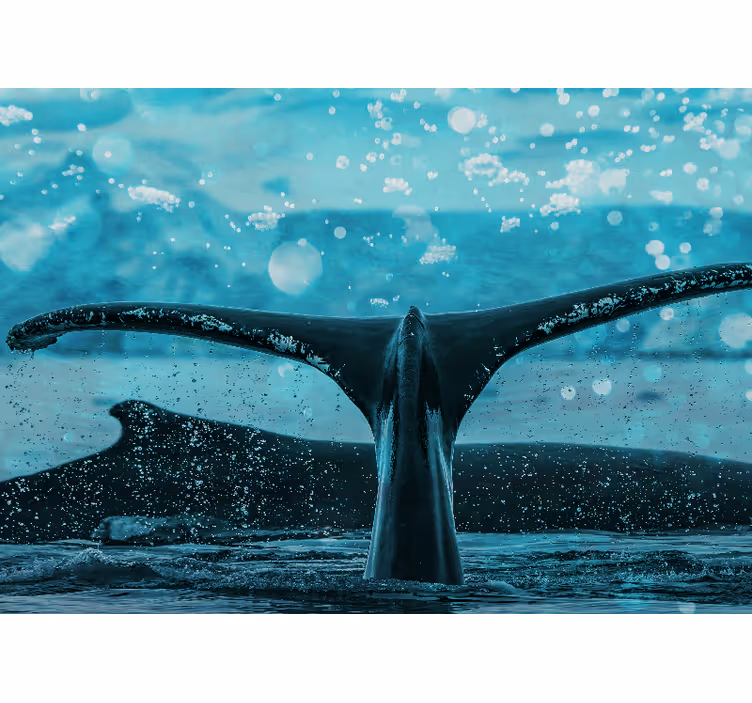 Mural de animales salpicadura de cola de ballena - TenVinilo