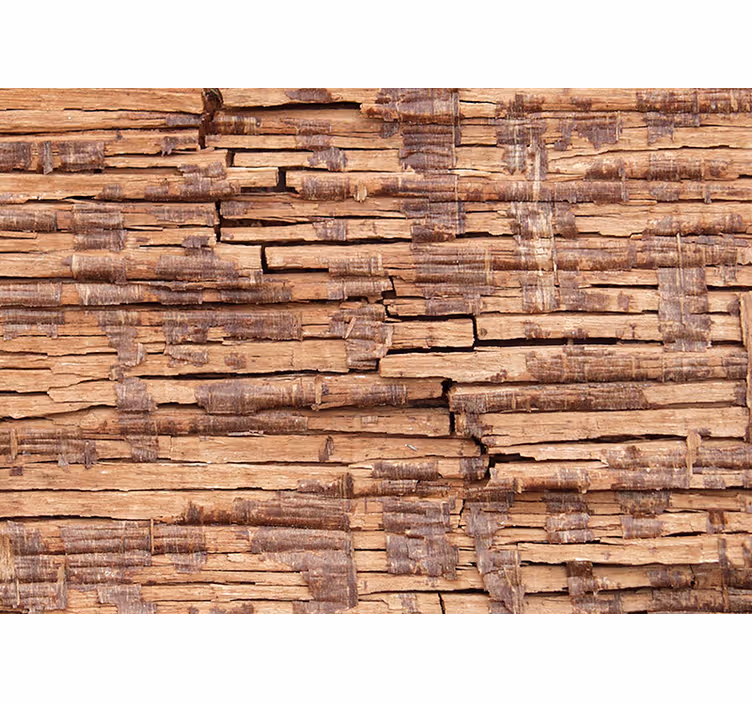 Fotomural madera Grietas profundas de madera - TenVinilo