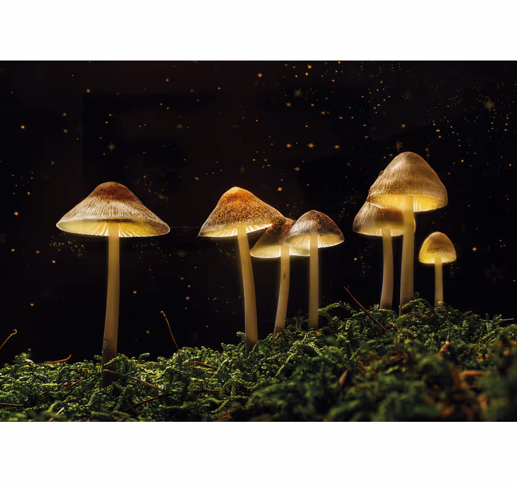 Mural de naturaleza escena de setas brillantes - TenVinilo