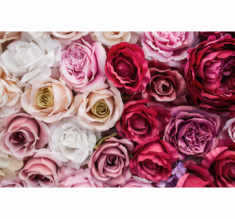 Mural de flores colección de rosas hermosas - TenVinilo