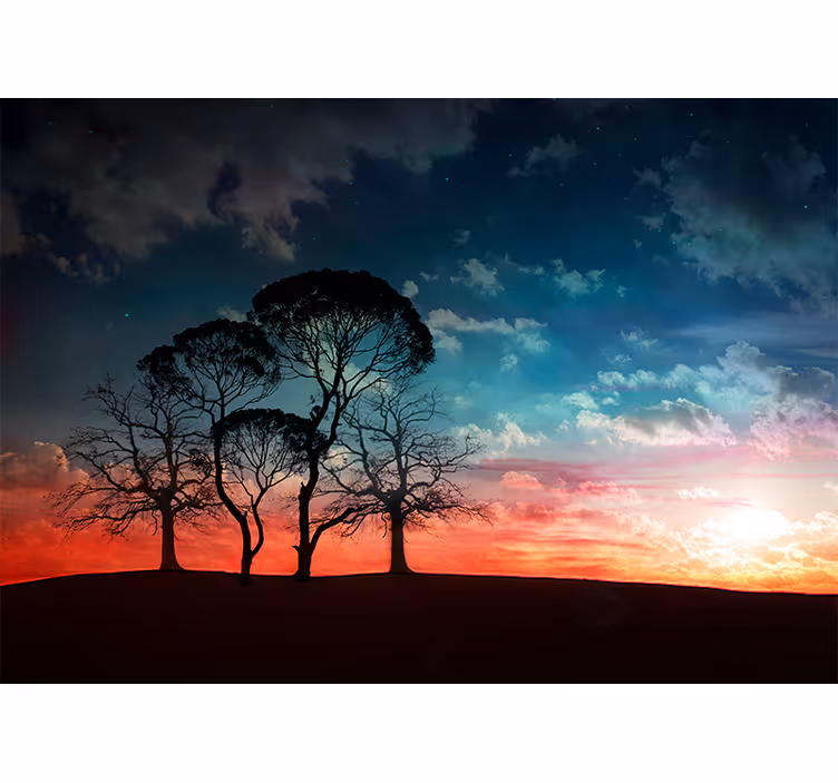 Mural de árboles silueta de árbol al atardecer - TenVinilo