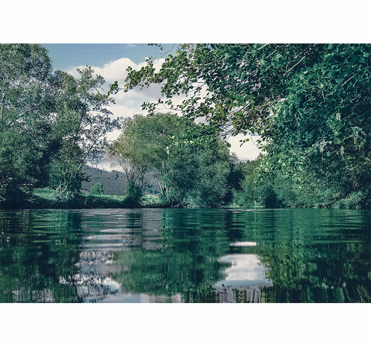 Mural de naturaleza paisaje de río tranquilo - TenVinilo