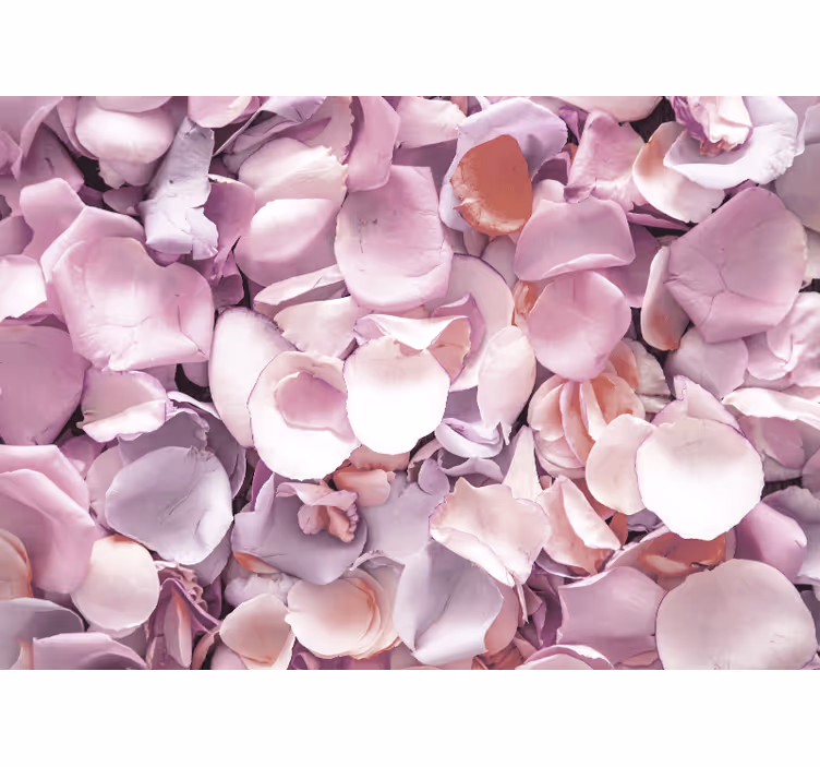 Fotomural de rosas Estilo elegante rosa hojas - TenVinilo