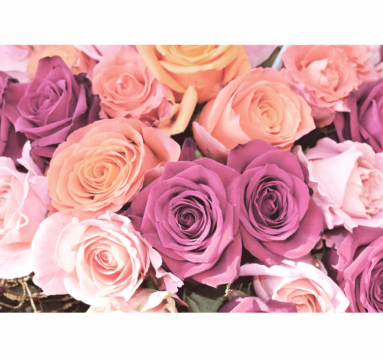 Fotomural de rosas Elegante diseño de rosa de color pastel - TenVinilo