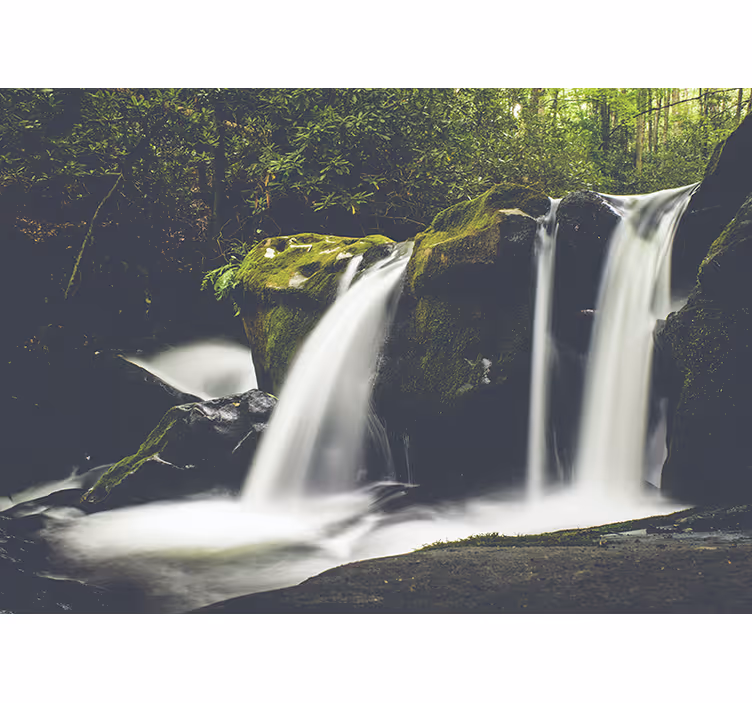 Fotomural de bosque Bosque naturaleza cascada - TenVinilo