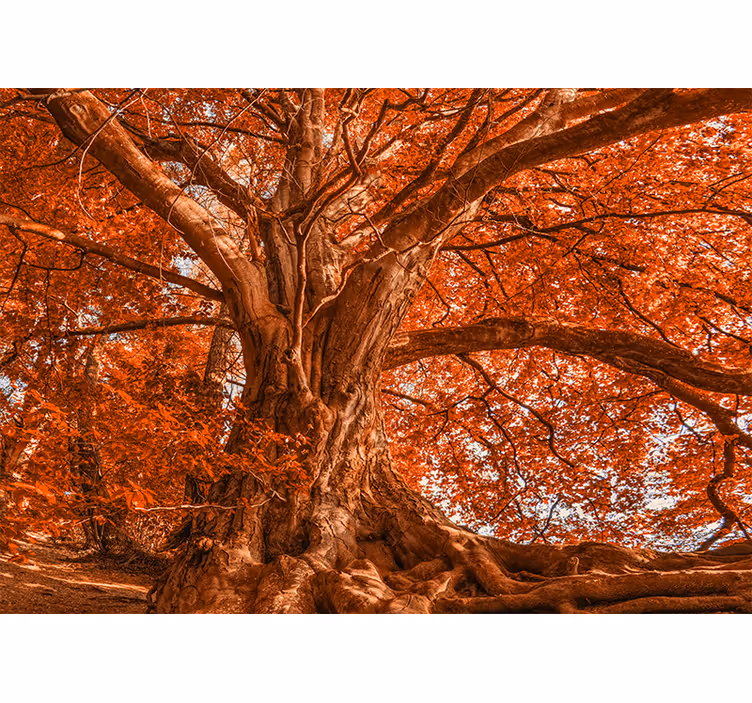 Mural de árboles Árbol majestuoso de otoño - TenVinilo