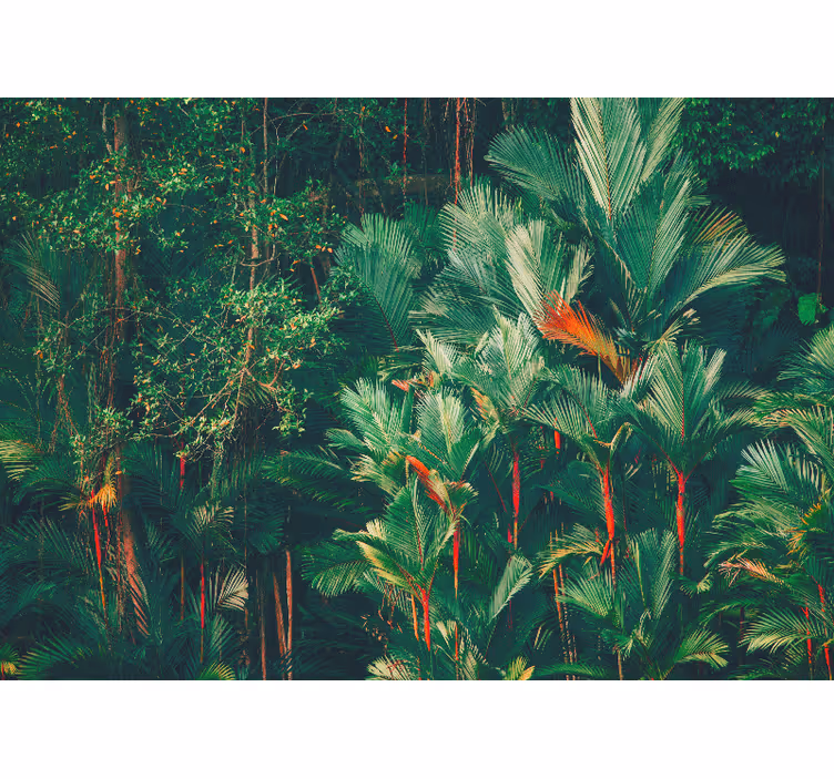 Mural de selva colección palmas tropicales - TenVinilo