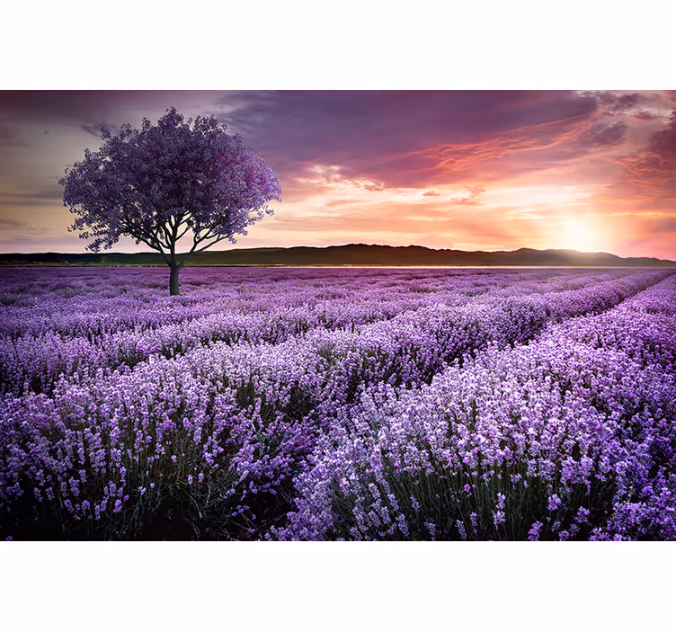 Fotomural naturaleza árbol de fantasía púrpura con flores - TenVinilo