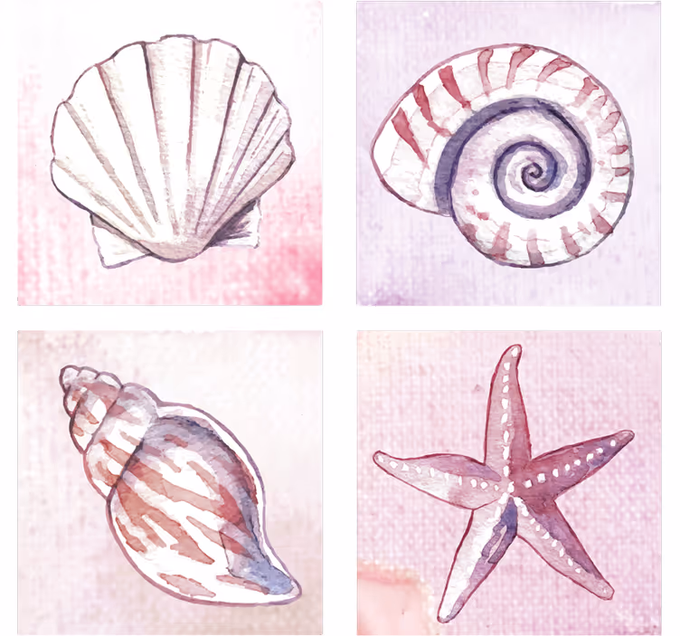 Posavasos acuarelas de conchas naturales - TenVinilo