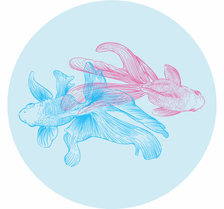 Posavasos frikis ilustraciones de peces bicolor - TenVinilo