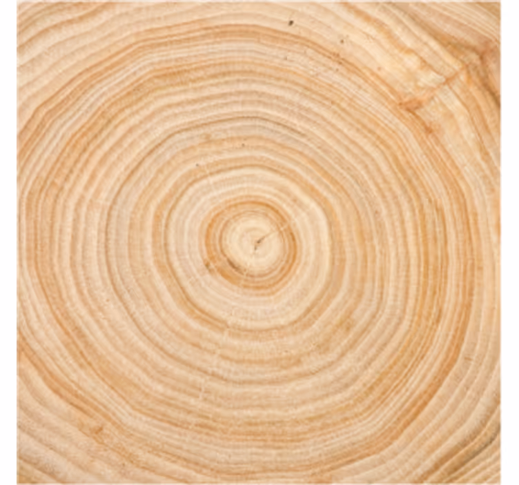 Posavasos círculo de vetas de madera - TenVinilo
