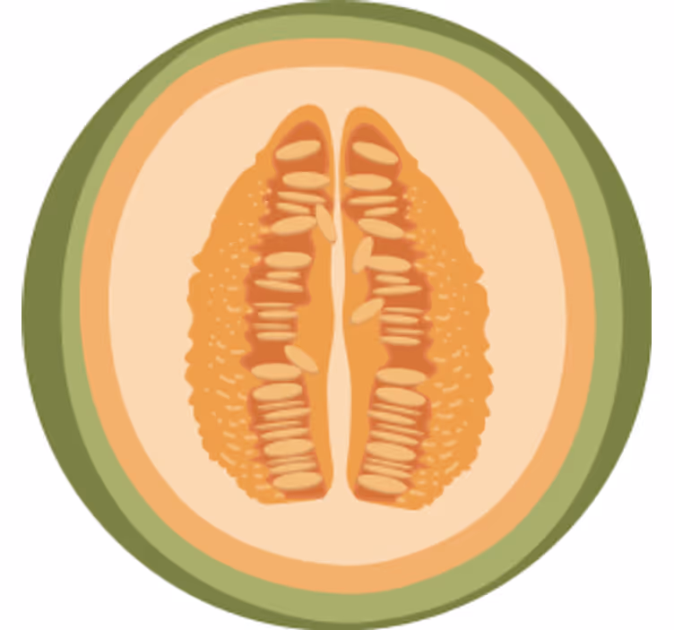 Posavasos frikis motivos de rodajas de fruta - TenVinilo