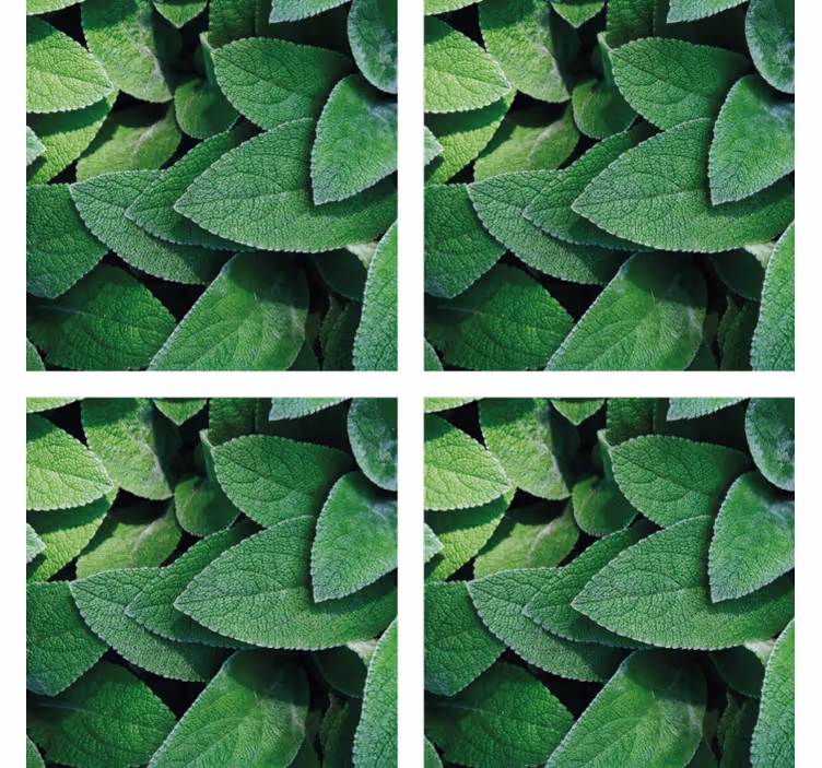 Posavasos motivo de hojas verdes vibrantes - TenVinilo