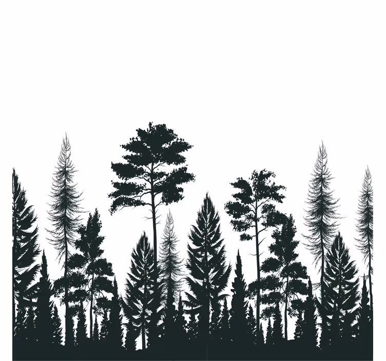 Posavasos silueta de pinos altos - TenVinilo