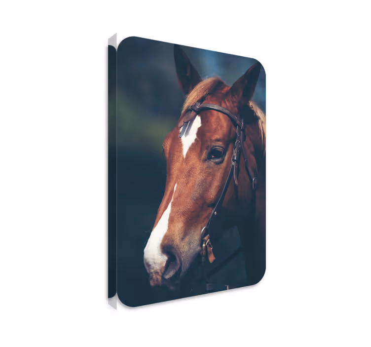 Cuadro caballos cabeza de caballo - TenVinilo