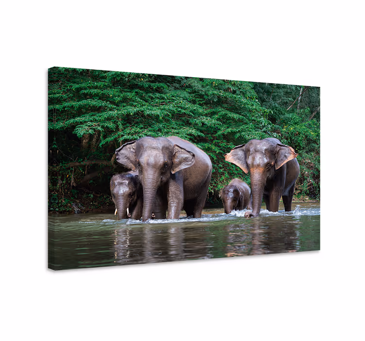 Cuadro de elefantes selva con animales - TenVinilo
