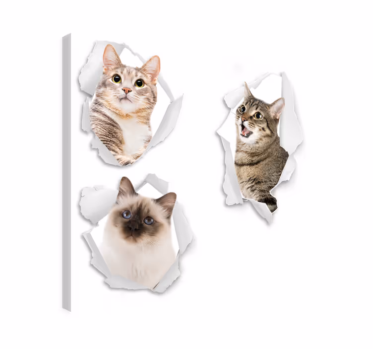 Cuadro de gatos kittens trampantojo - TenVinilo