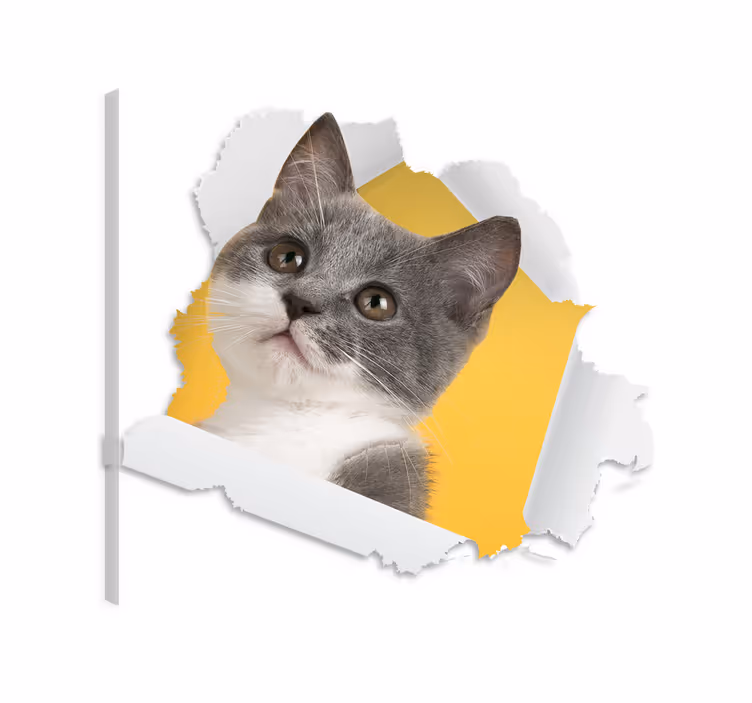 Cuadro de gatos stickers de gato 3d - TenVinilo