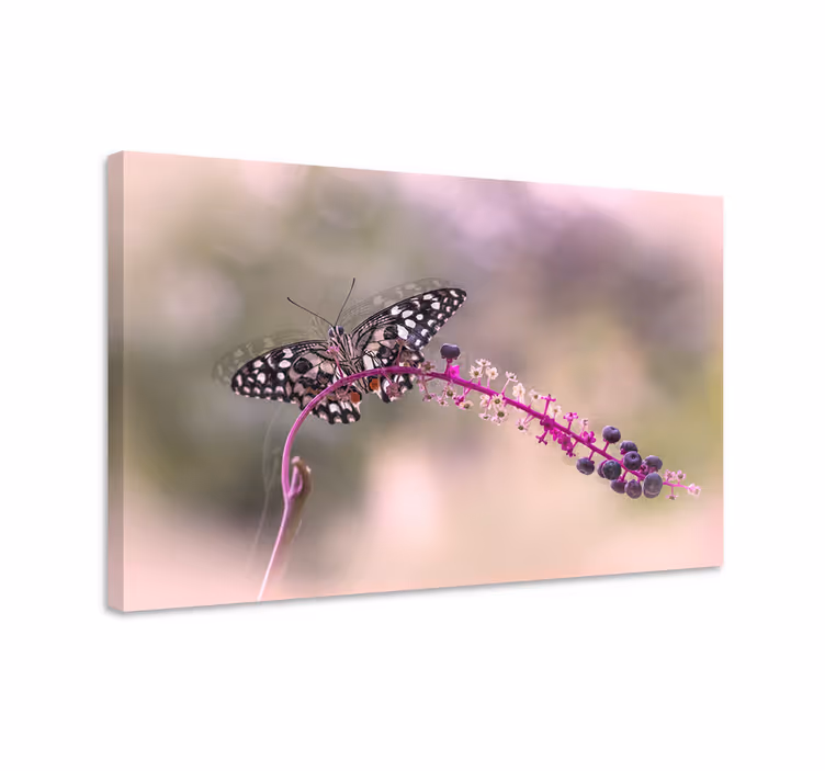 Cuadro mariposas mariposa púrpura - TenVinilo