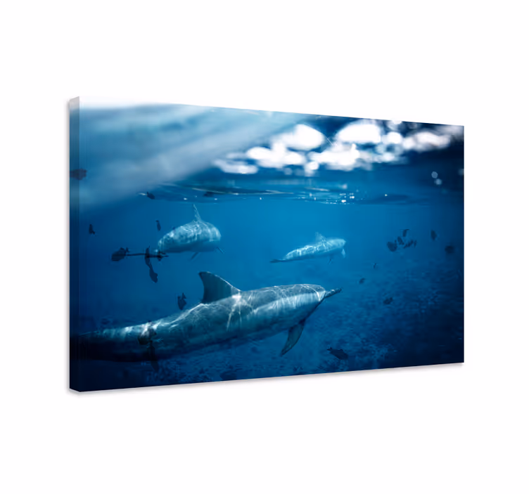 Cuadro de peces delfines y peces - TenVinilo
