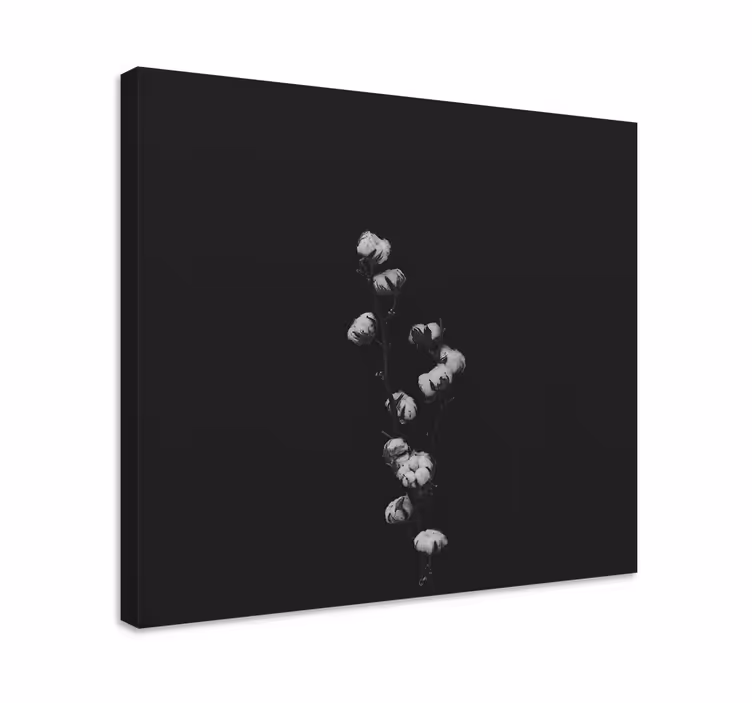 Cuadro plantas Planta de algodón - TenVinilo