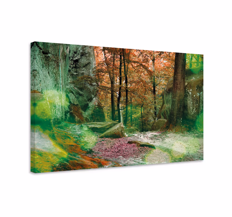 Cuadro paisajes escena del sendero en el bosque - TenVinilo