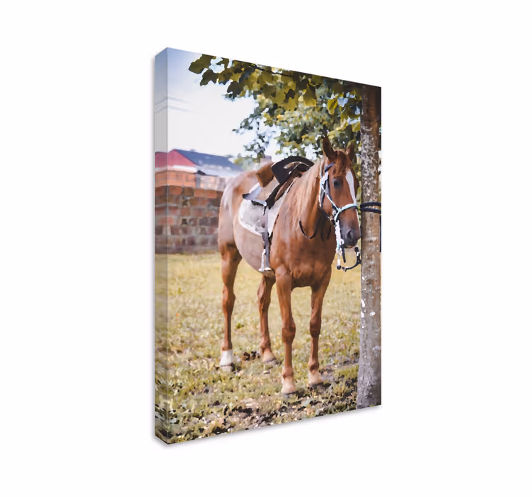 Cuadro caballos Caballo debajo de un árbol - TenVinilo