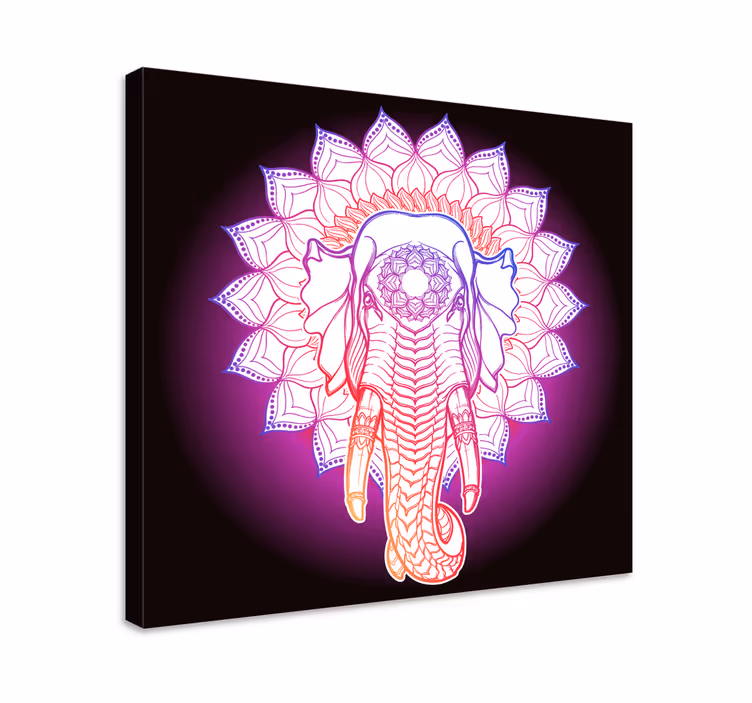 Cuadro elefante Elefantes mandala multicolor - TenVinilo