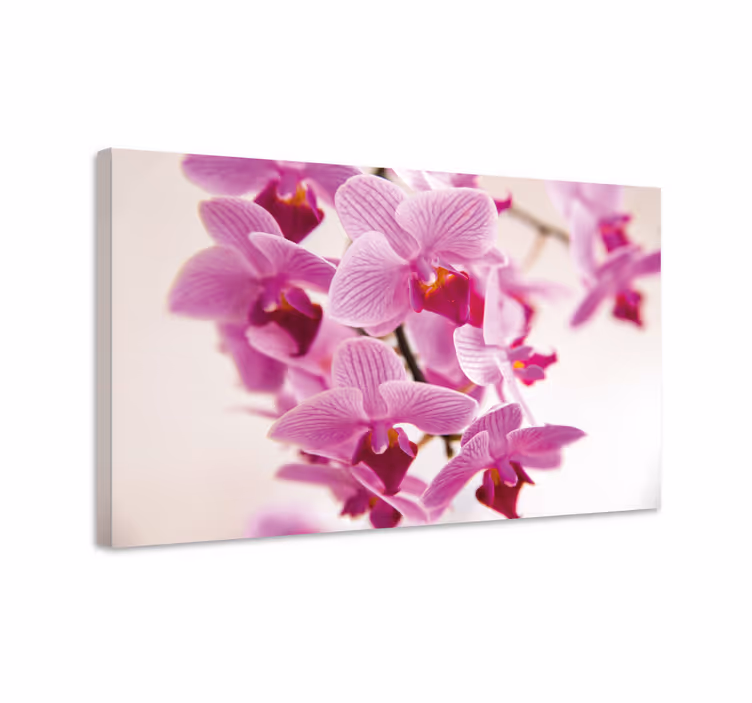 Cuadro de flores flores de orquídea delicadas - TenVinilo