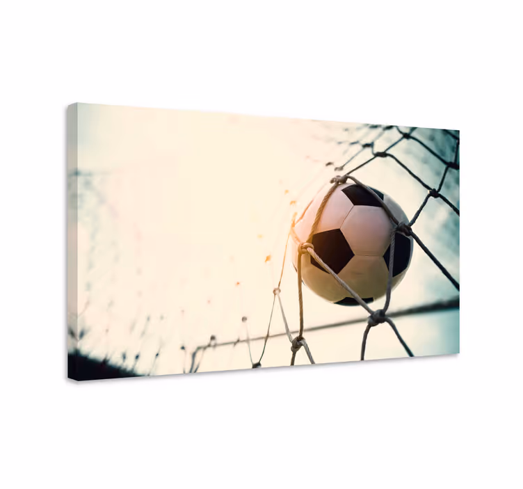 Cuadro deporte gol de balón de fútbol - TenVinilo