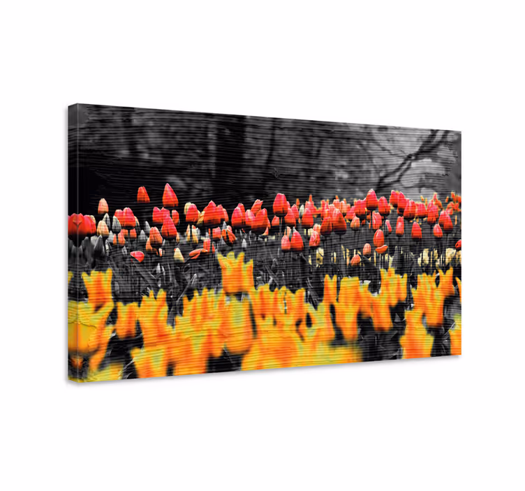 Cuadro de flores jardín de tulipanes coloridos - TenVinilo