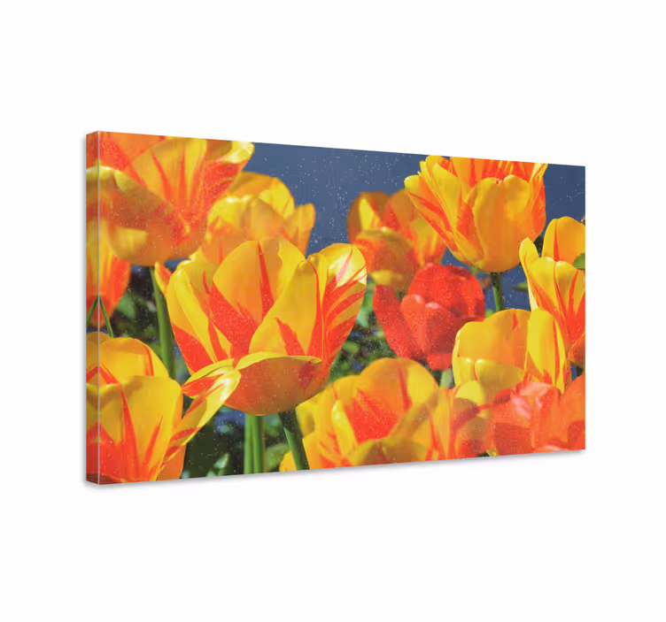 Cuadro de flores ramillete de tulipanes vibrantes - TenVinilo