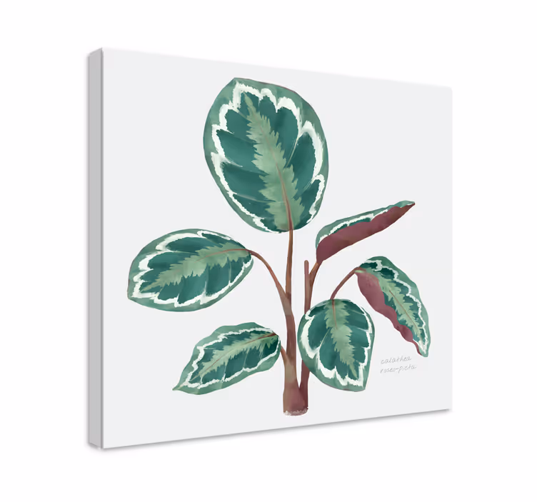 Cuadro de flores planta de hojas vibrantes - TenVinilo