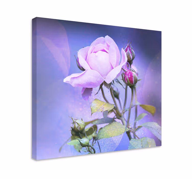 Cuadro de flores Rosas de jardín rosa - TenVinilo
