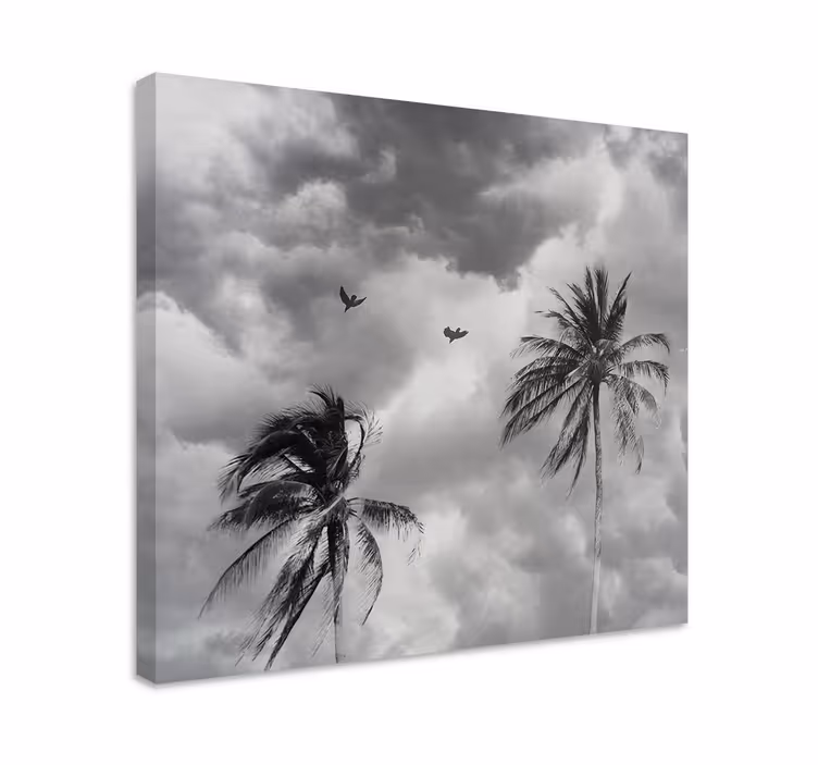Cuadro para salón Palma en blanco y negro - TenVinilo