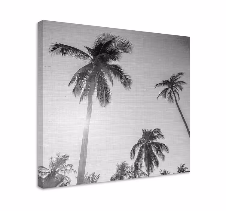 Cuadro comedor Sol brillante con palma - TenVinilo