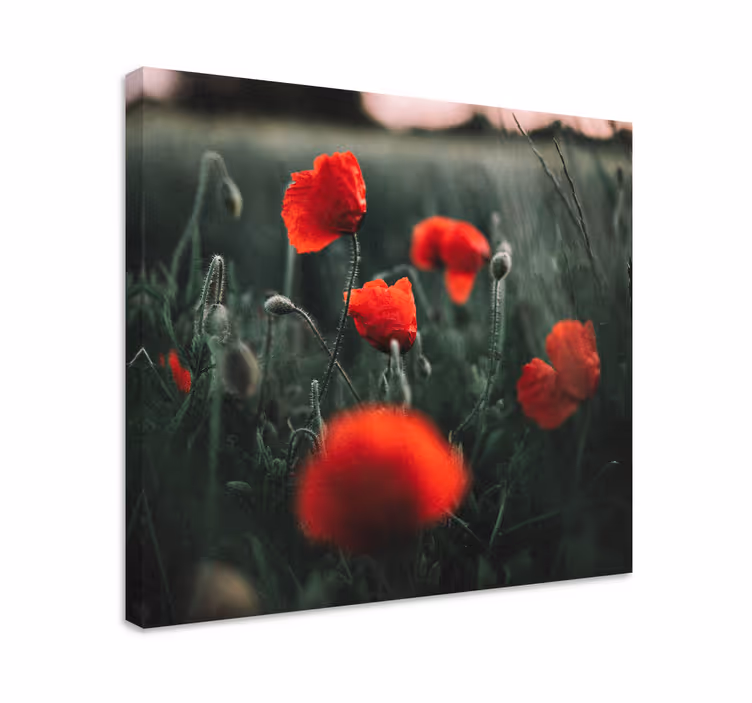 Cuadro de flores Campo manchado de amapolas - TenVinilo
