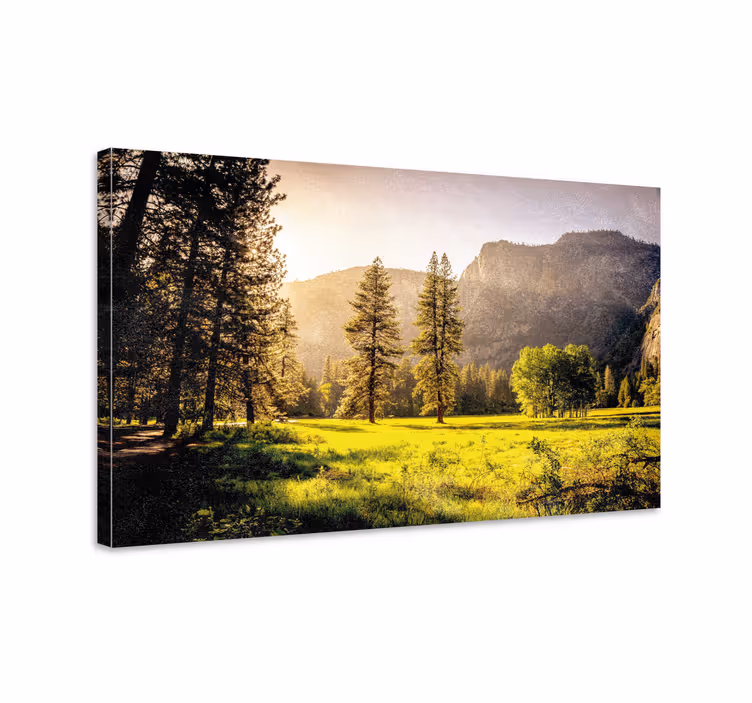 Cuadro paisajes Rayos de sol a través de los árboles - TenVinilo