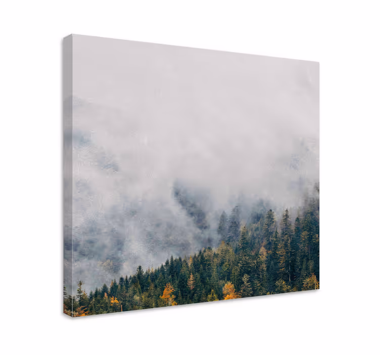 Cuadro de árboles paisaje de bosque brumoso - TenVinilo