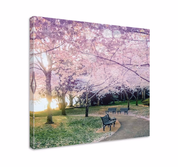 Cuadro de flores camino de cerezos - TenVinilo