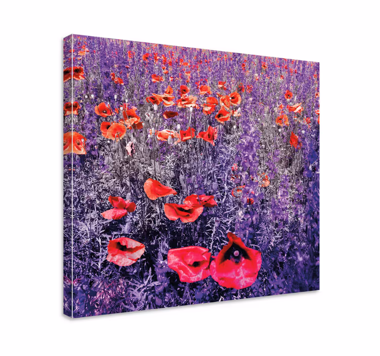 Cuadro de flores Amapolas y campo de lavanda - TenVinilo