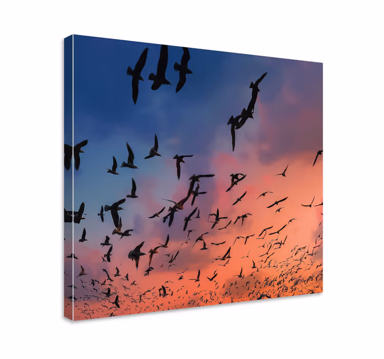 Cuadro de flores Pájaros volando en el cielo - TenVinilo
