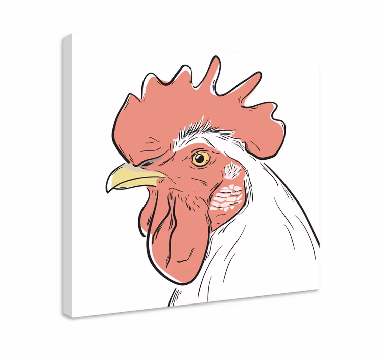 Cuadro aves Retrato de pollo blanco - TenVinilo