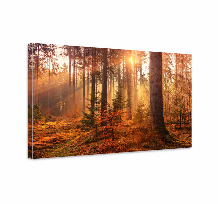 Cuadro paisajes Bosque de otoño perfecto - TenVinilo