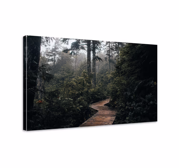 Cuadro paisajes Camino de madera en la naturaleza - TenVinilo