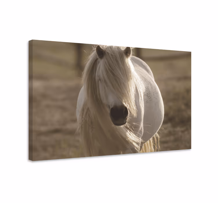Cuadro caballos majestuoso retrato equino - TenVinilo