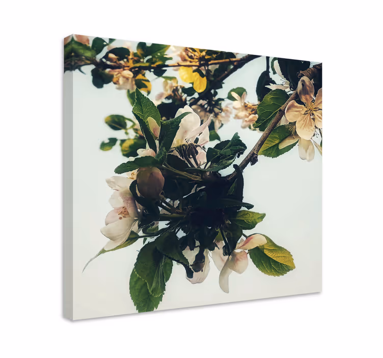 Cuadro de flores Diseño de estilo vintage amarillento - TenVinilo