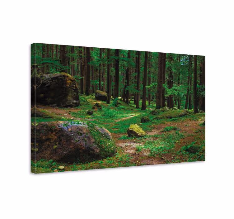 Cuadro paisajes Bosque verde con arboles - TenVinilo